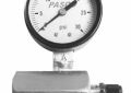 Pasco 1427 30# Air Test Gauge Assembly
