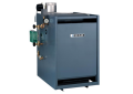 Weil McLain 118-551-360 EG-55-W SPDN Natural Gas Water Boiler with Vent Damper