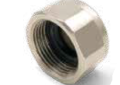 Watts D4201700-S 81005479 Brass Circuit Isolation Cap - Nickel Plated