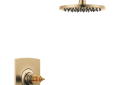 Brizo® T60267-GLLHP Thermostatic Valve Trim, 1.75 gpm Shower, Luxe Gold