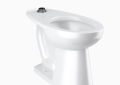 Sloan 2102029 ST-2029 Vitreous China Floor-Mounted ADA Water Closet - White