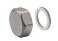 Watts D063064N 81001977 1 inch Stainless Steel Manifold End Cap with Gasket