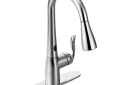 Moen 7594EC Arbor Single Handle High Arc Kitchen Faucet - Chrome