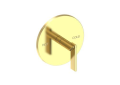 Newport Brass(R) 4-2494BP-03N Balanced Pressure Shower Trim Plate with Handle. Less showerhead, Arm and Flange - Uncoated Polished Brass